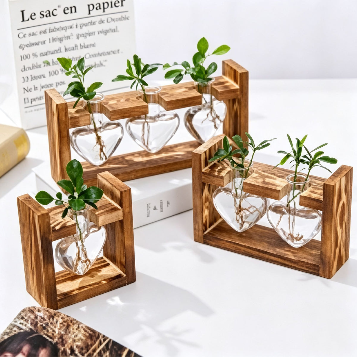 Double Heart Shaped Glass Vases with Snap-Fit Wooden Stand | Halloween Sweet Pair Gift | Paired Heart Hydroponic Planter Lovely Desktop Decor