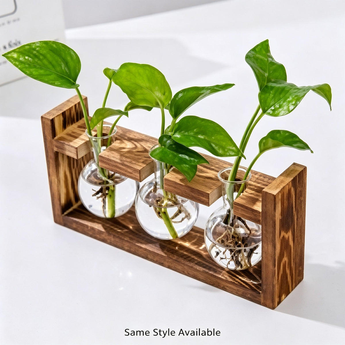 Double Heart Shaped Glass Vases with Snap-Fit Wooden Stand | Halloween Sweet Pair Gift | Paired Heart Hydroponic Planter Lovely Desktop Decor