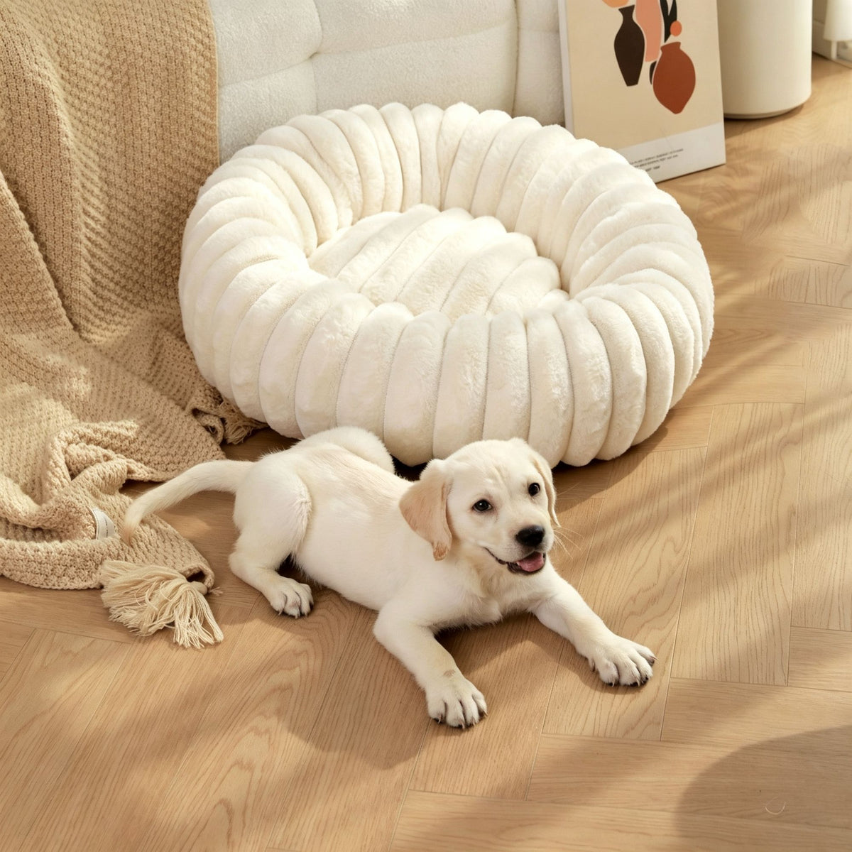 High‑Grade Rabbit Fleece White 60cm Round Pet Bed | Halloween Fresh Pet Gift | High‑Density Long Plush Round Bed for Small Medium Pets