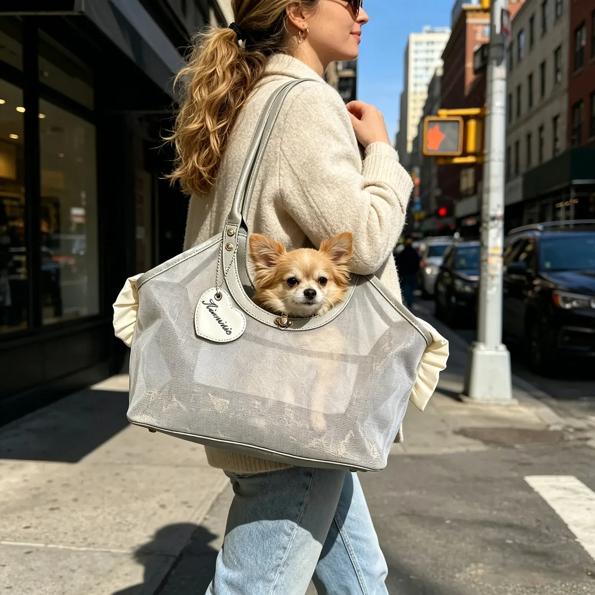 Breathable Mesh Pet Carrier, Head-Out Lightweight Backpack for Small Dogs Cats Under 3kg, Handheld Shoulder Crossbody with Reinforced Base.(silver)