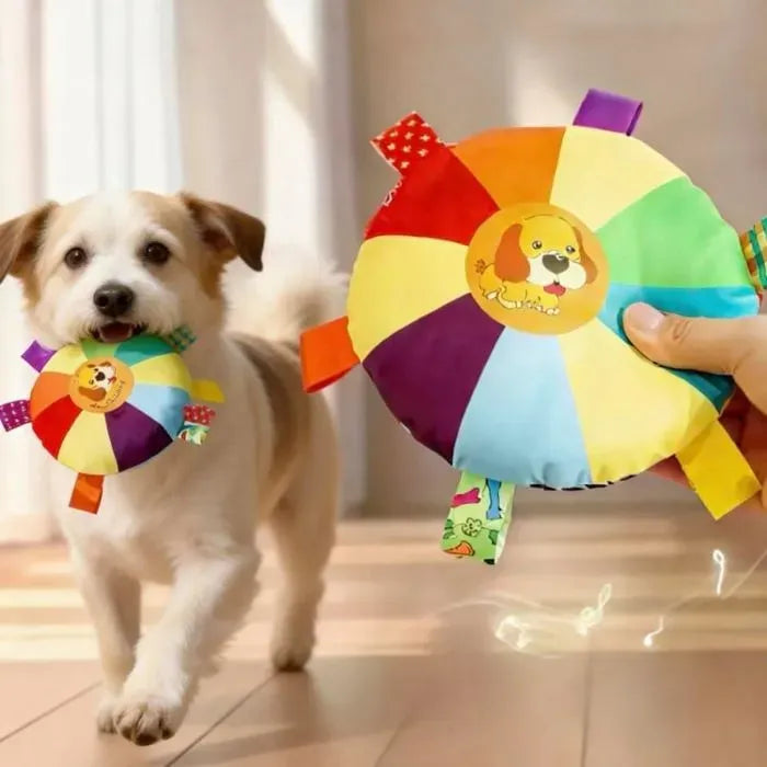 Flying Disc Dog Toy with Squeaker for Play and Training, Small and Large Dogs