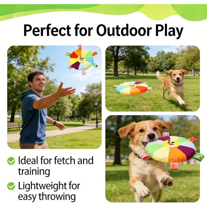 Flying Disc Dog Toy with Squeaker for Play and Training, Small and Large Dogs