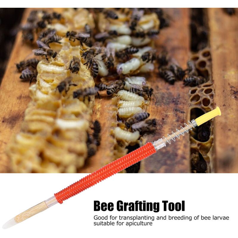 25 Pcs Beekeeping Larvae Grafting Needles Queen Bee Rearing Tool Beekeeping Equipment