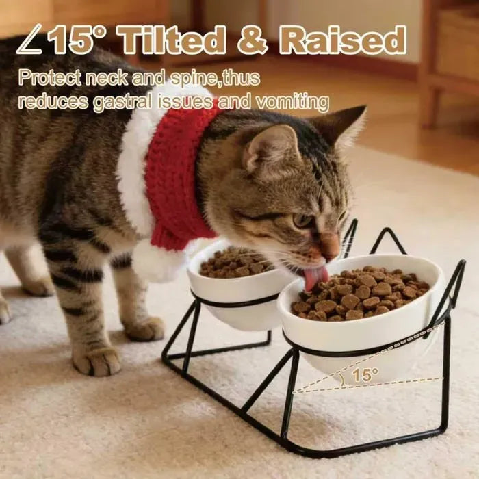 15 Degree Raised Ceramic Cat Bowl Set