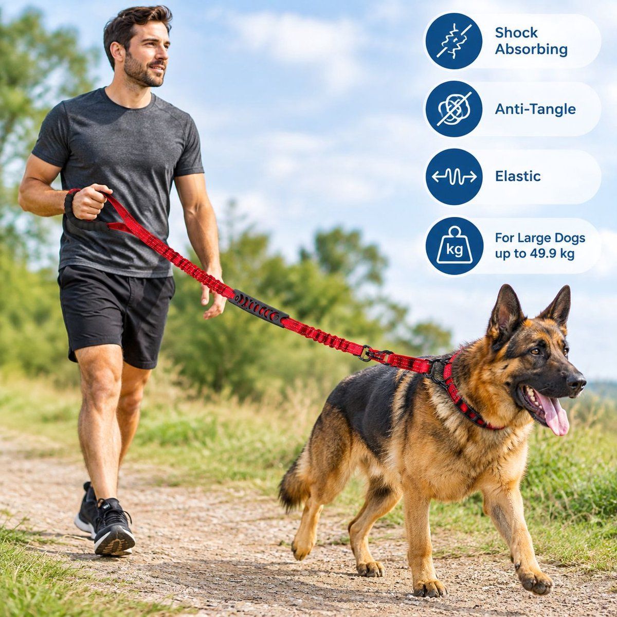 Shock-Absorbing Anti-Tangle Elastic Dog Training Leash for Large Dogs up to 49.9 kg, Red, 1.9 m