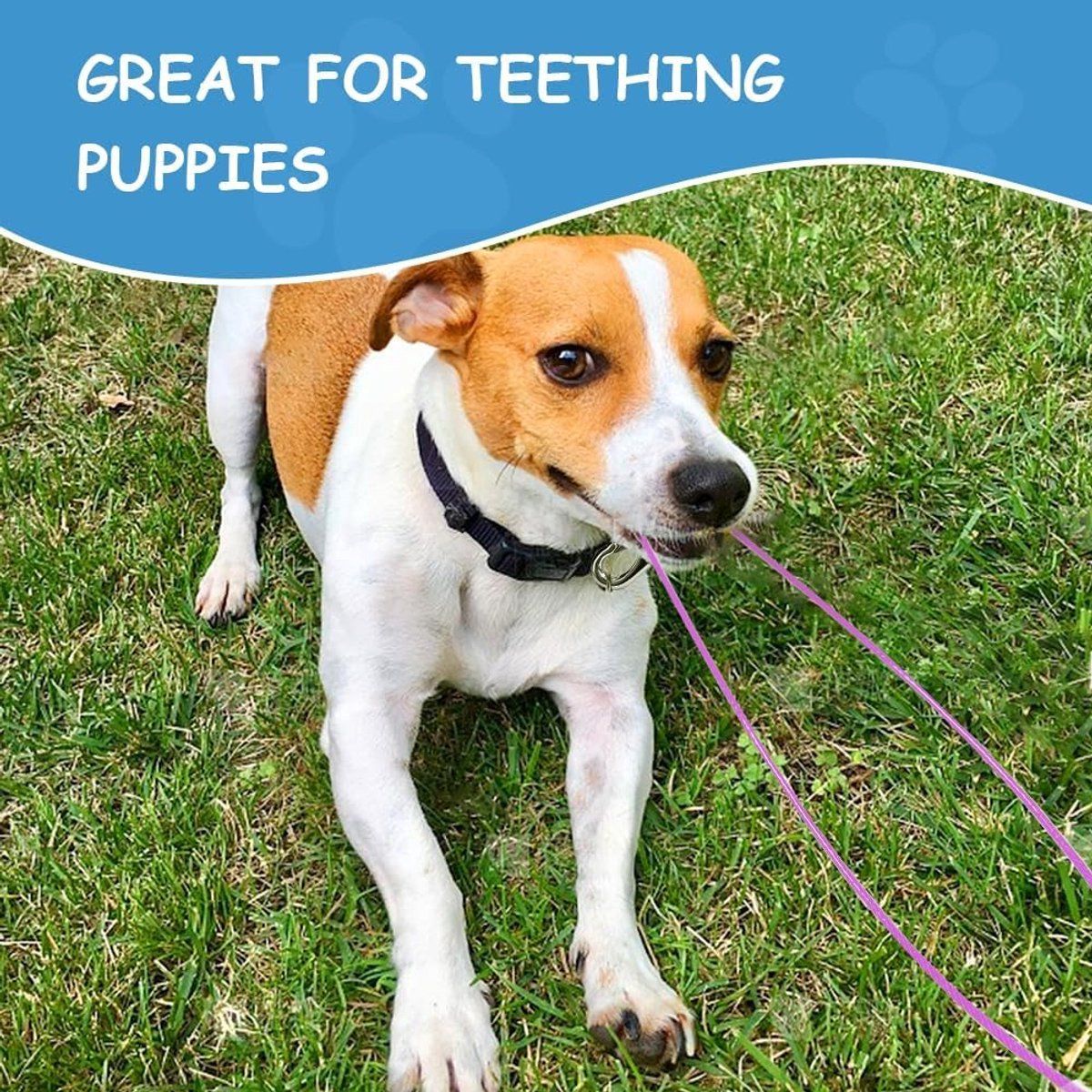 2 Pack Dog Leash Metal Cable, Bite-Resistant Tangle-Free Leash for Walking and Training
