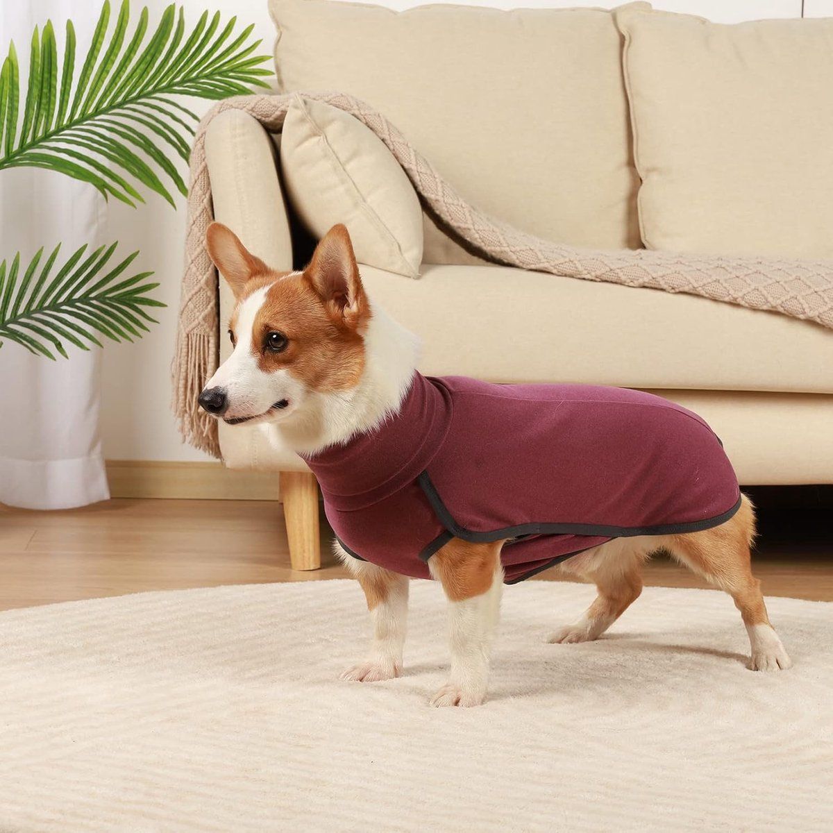 Dog Fleece Vest Turtleneck Sweatshirt Warm Lightweight Pullover Puppy Clothes for Indoor Outdoor Use, Red, Size L