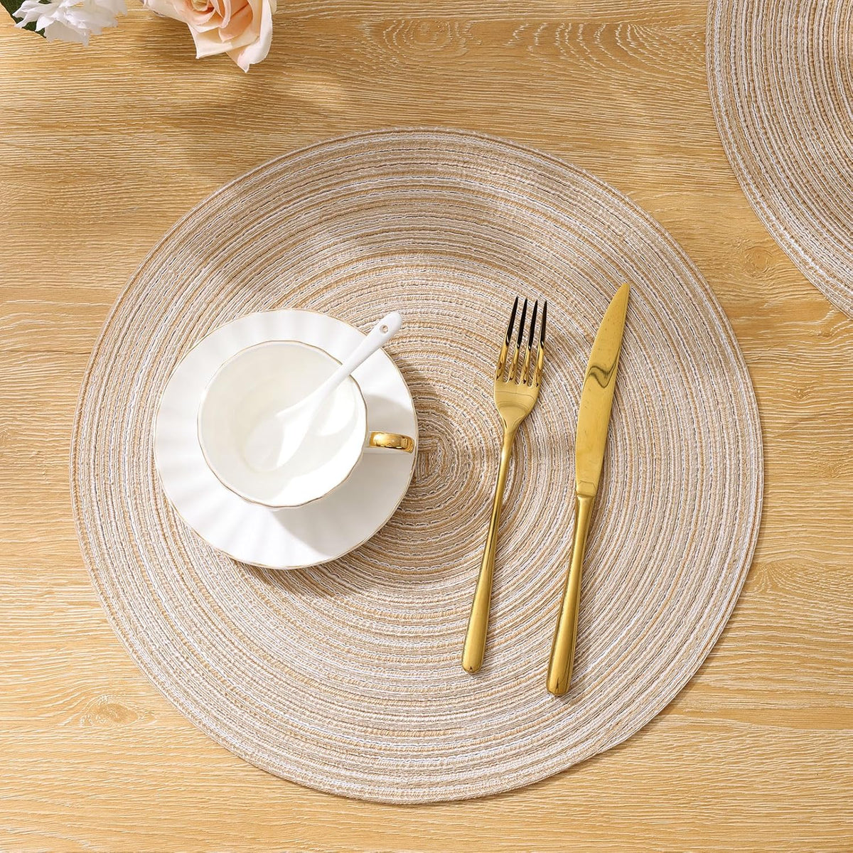 Round Braided Placemats Set of 6 Washable Round Placemats for Kitchen Table 15 inch Round Table Mats (Beige, 6)
