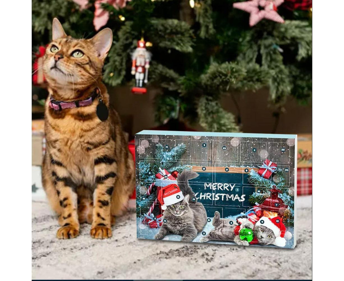 Cat Advent Calendar 2024 Christmas Countdown Calendar Xmas Gift for Kitten Toys 24Pcs
