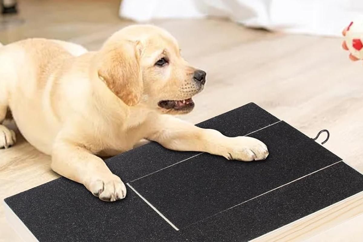 Dog Scratch Pad for Nails Scratching Board with Treat Box