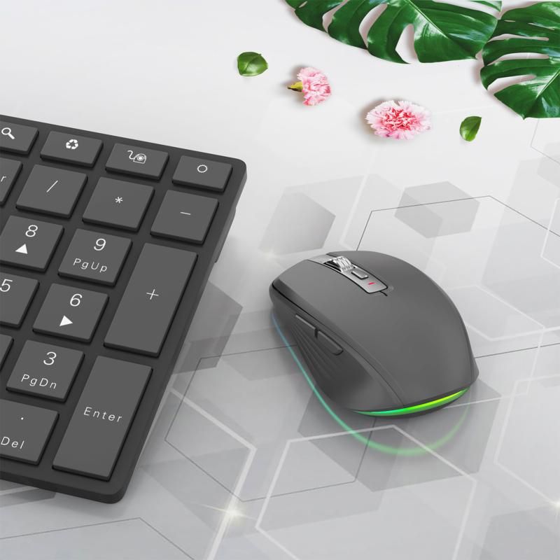 2.4G+BT5.1 Dual-mode Wireless Gaming M,Ergonomic Design 4-gear Adjustable DPI(Black)