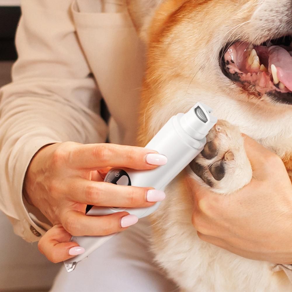 2 in 1 Pet Grooming Clippers with Nail Grinder and LED Display