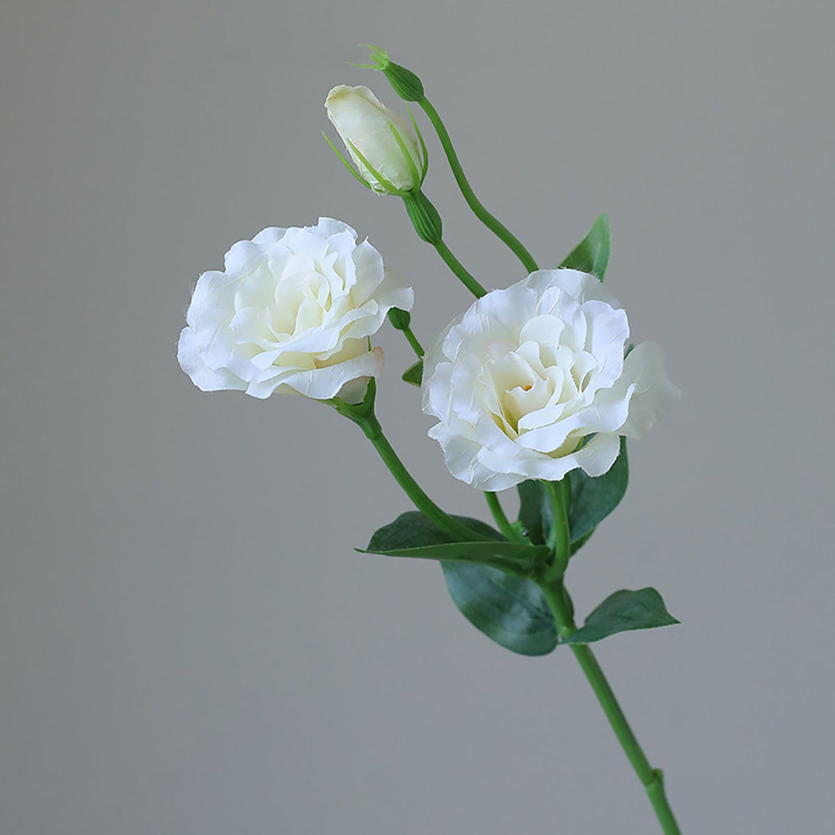 5PCS Artificial Silk Fake Eustoma Flowers Long Stem Lifelike Flowers for Wedding Party Home Decor White