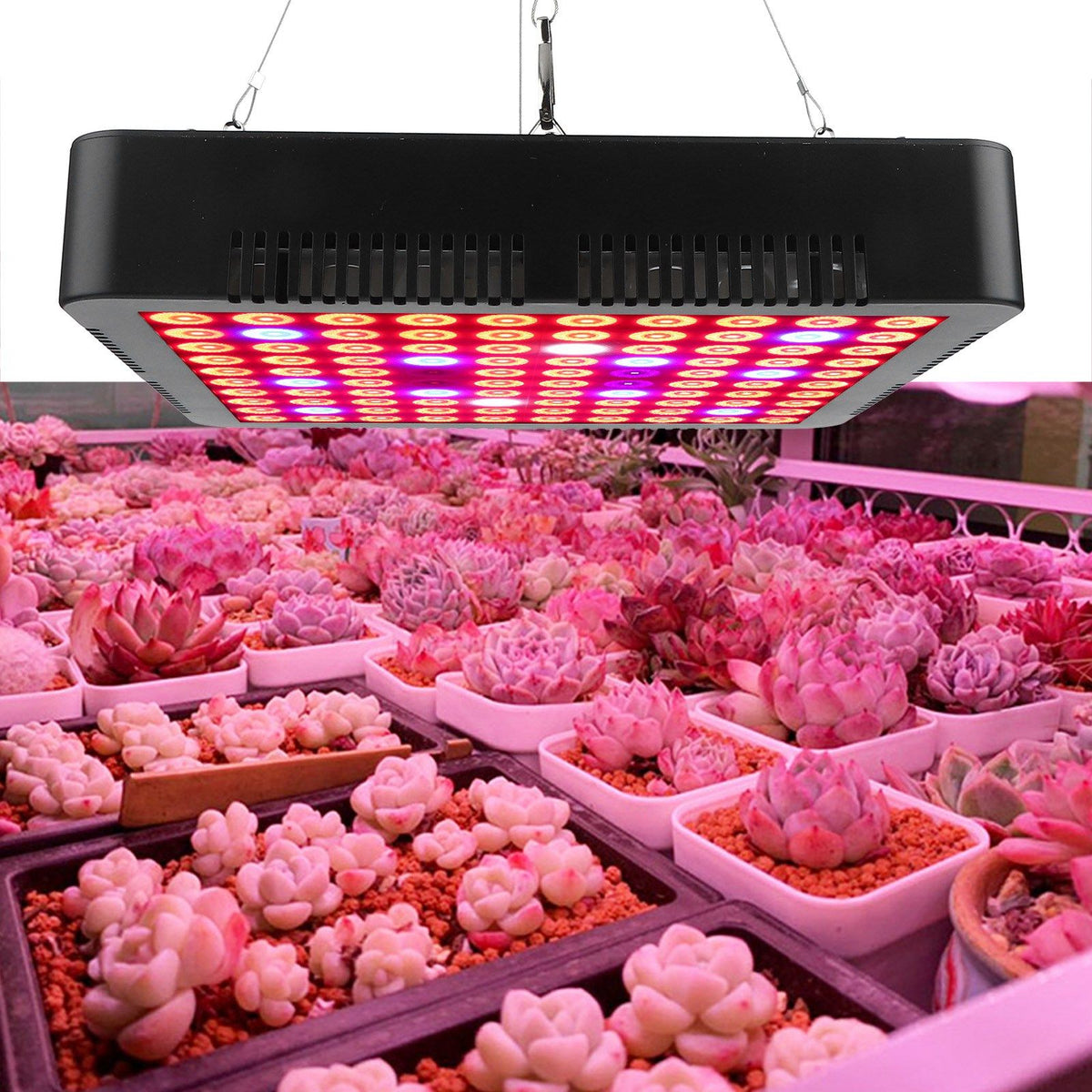 300W 100LED Chips Grow Lamp Full Spectrum Plant LED Panel Growing Lights Fixture