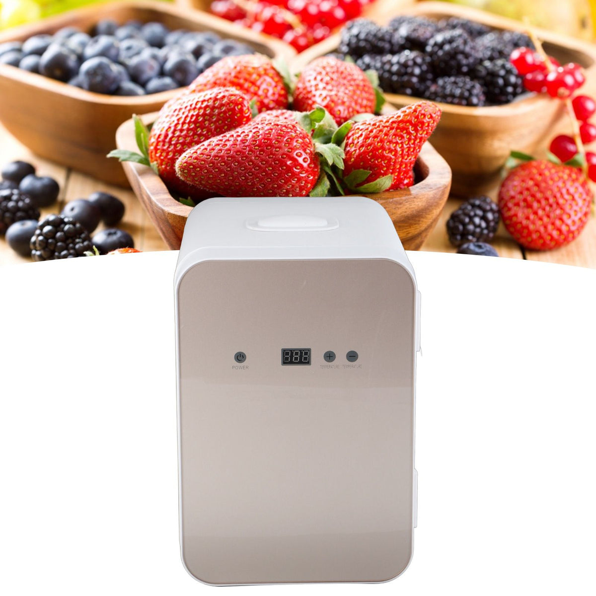 8L Portable Digital Mini Refrigerator 12V Car Refrigerator DualUse Freezer Warmer for Home Office(Prise )