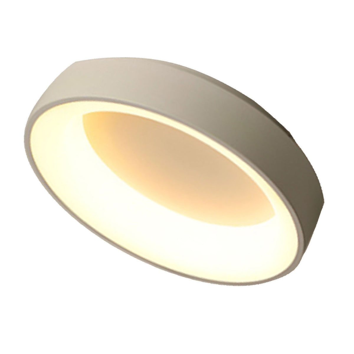 Bedroom Ceiling Light Flush Mount Dimmable LED Modern Simple Warm Romantic Lamp 100‑265V White 50cm