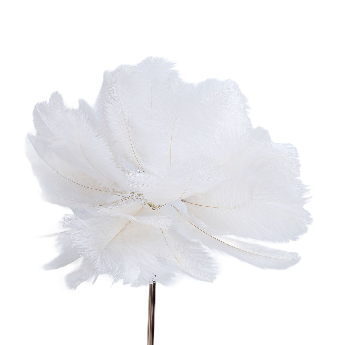 Ostrich Plume Floor Lamp Iron Art 61 Inch LED USB Stepless Dimmable Modern Decorative Standing Lamp for Bedside Living Room White