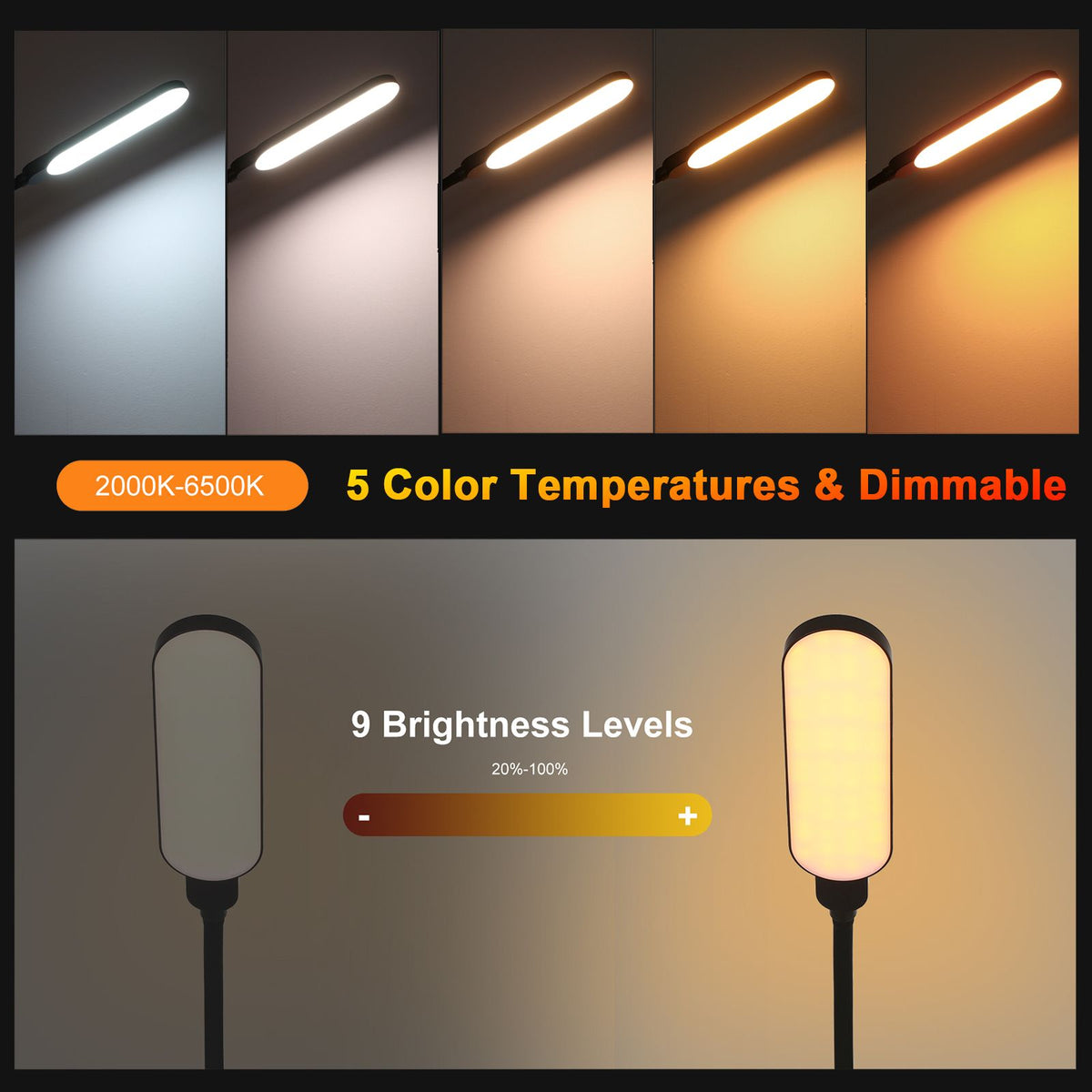 RGBCW LED Floor Lamp Modern Standing Light Dimming for Living Room Bedroom Office Eye Protection Reading Lamp Touch & Remote Control RGB Color Changing Floor Light