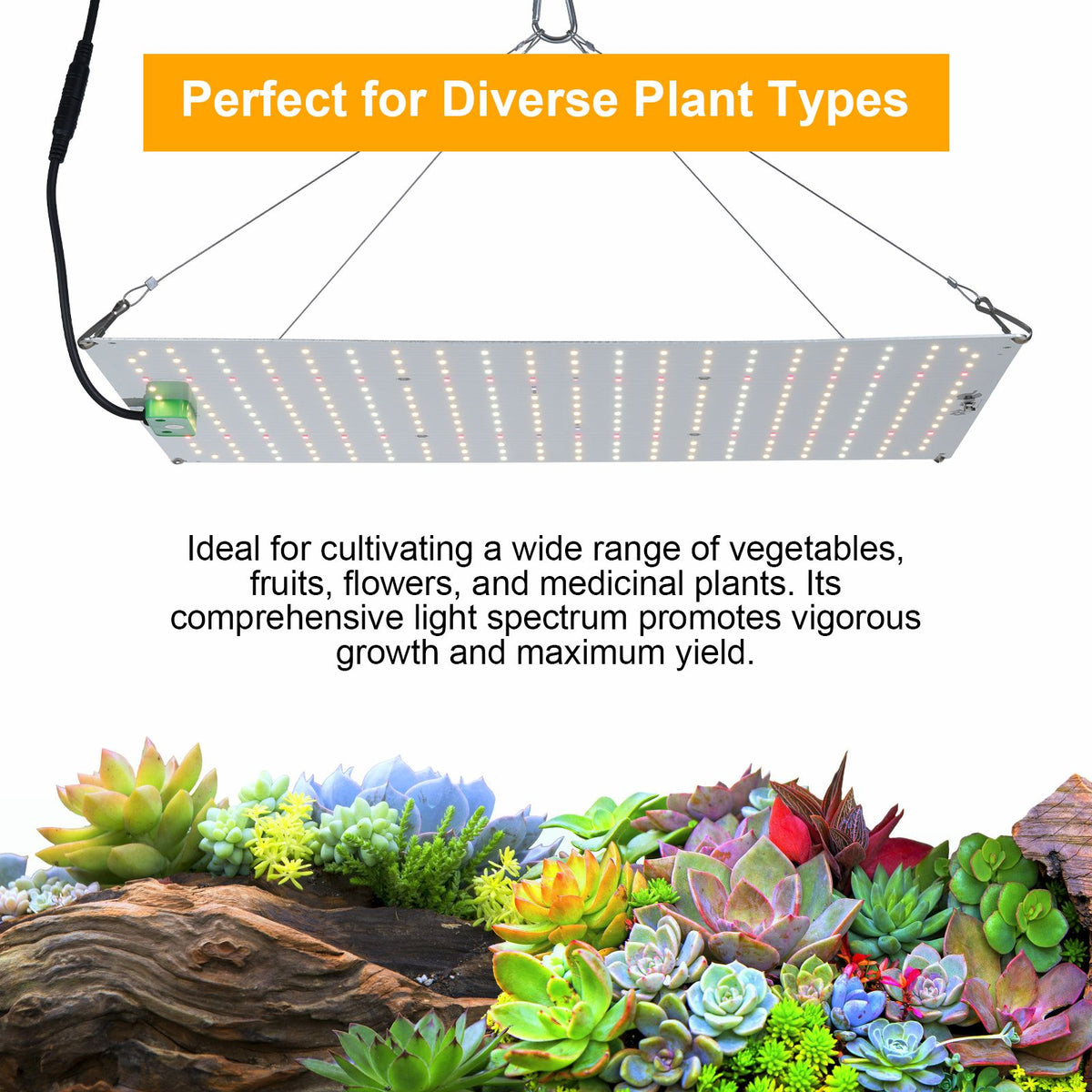 120W Dimmable Quantum Board Grow Light Full Spectrum Indoor Plant Growth Light Veg and Bloom Dual Switch Hanging Plant Growing Lamp for Seedlings Flowers Greenhouse Indoor Gardening