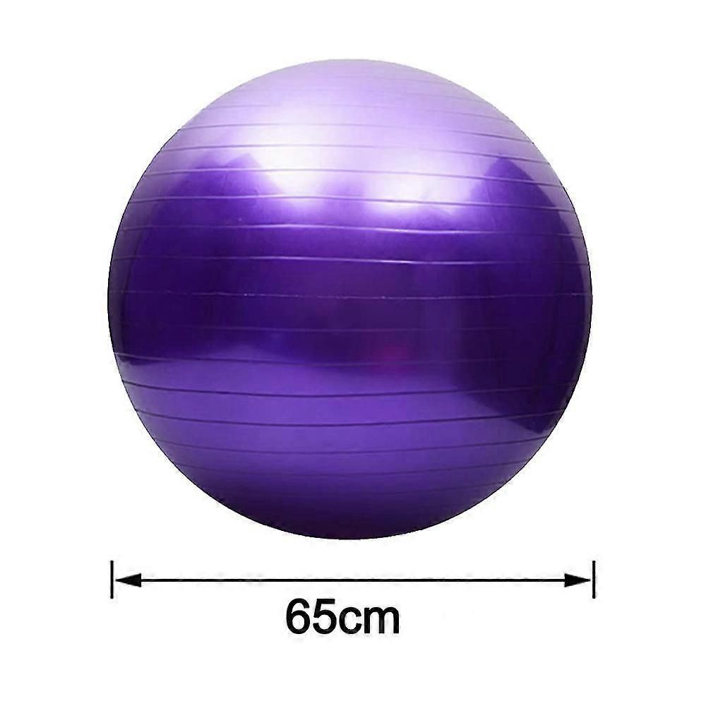 65cm Exercise Ball Extra Thick Yoga Ball Fitness Balance Trainer with Air Pump for Pilates Yoga Home Office Gym - Purple