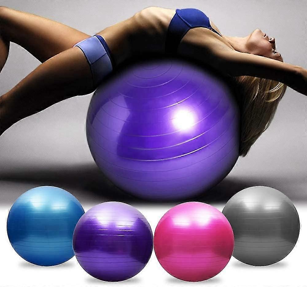 65cm Exercise Ball Extra Thick Yoga Ball Fitness Balance Trainer with Air Pump for Pilates Yoga Home Office Gym - Purple