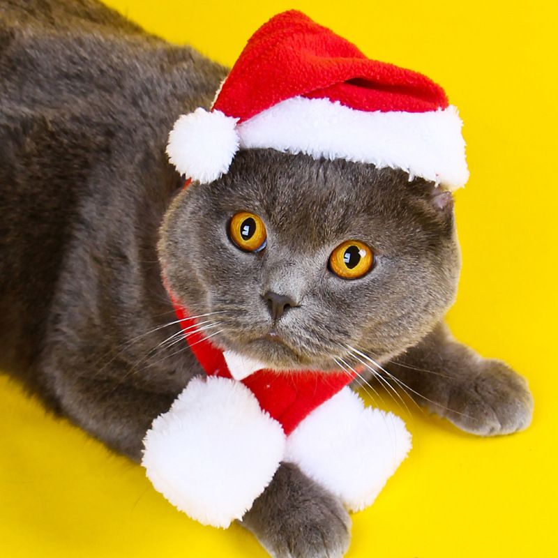 Pet Clothing Christmas Cloak Odd Pet Bell Cape L