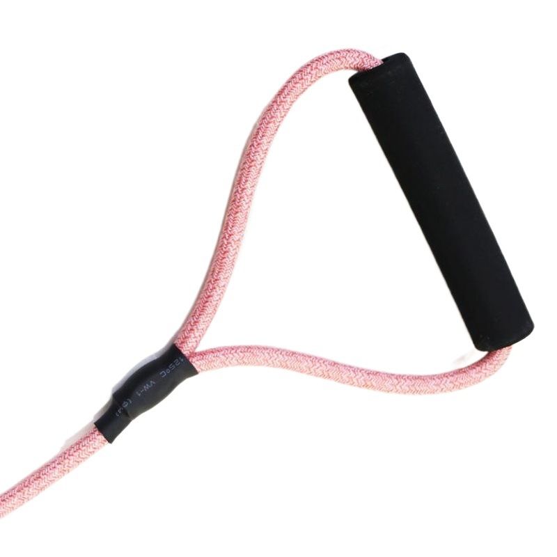 Zichen Nylon Dog Leash Medium Large Pet Curry 0.6