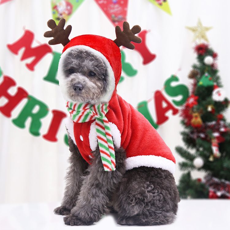 Christmas Pet Clothes Dog Cat Winter Cotton (Send red and green scarf) two legs flannel small antlers XL