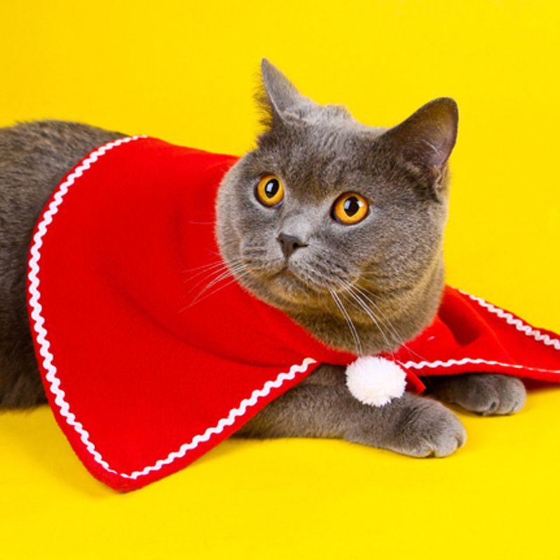 Pet Clothing Christmas Cloak Odd Pet Single scarf L