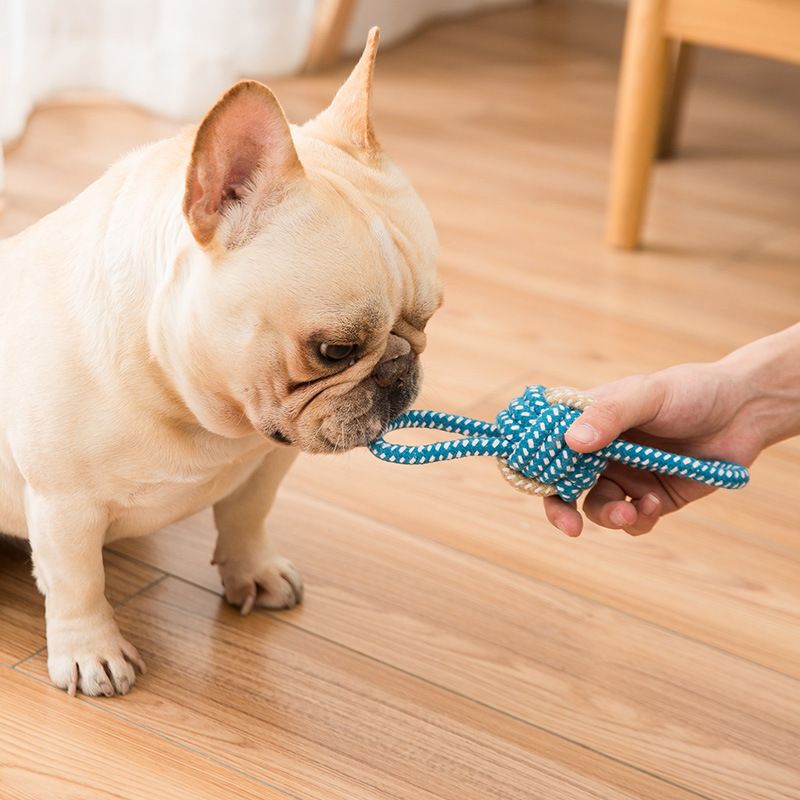 Sour bear Dog Chew Toy Cotton Rope Molar Bite Resistance Two-color tug-of-war Ball Blue