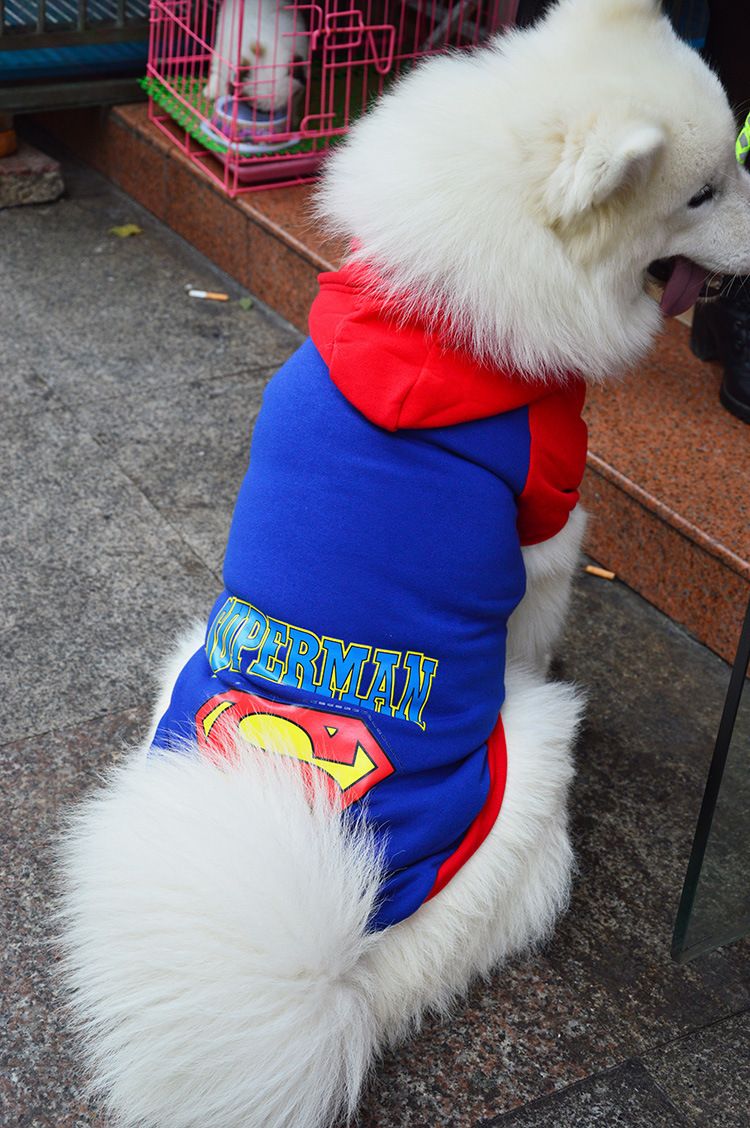 Pet Hoodie Sweatshirt Shine Superman Cotton Hooded Superman Blue 7XL (Bust 79CM)