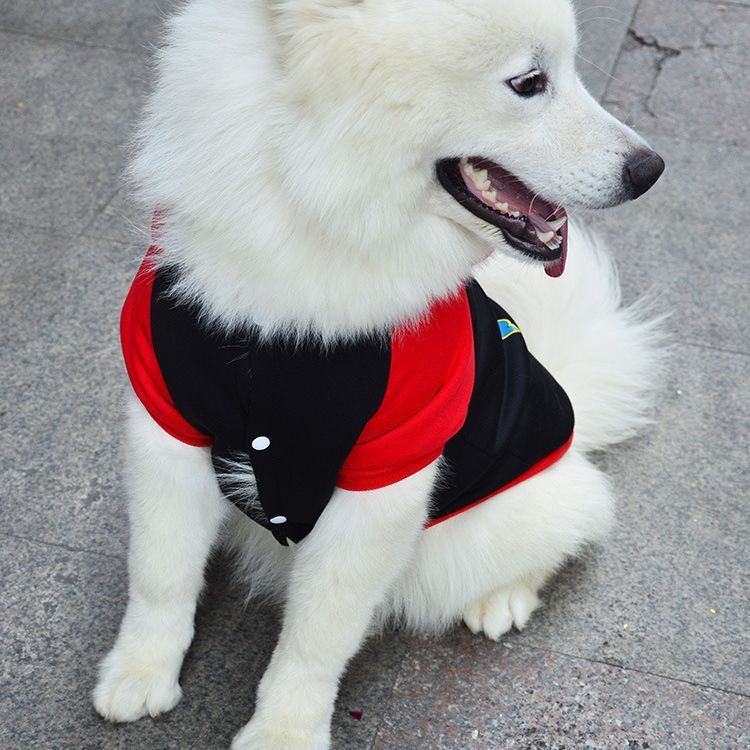 Pet Hoodie Sweatshirt Shine Superman Cotton Hooded Superman Black 3XL (Bust 59CM)