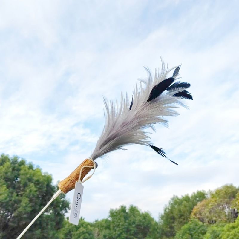 CHIYOOSU Cat Teaser Wand with Feather Bell Cocktail flower replacement head gray