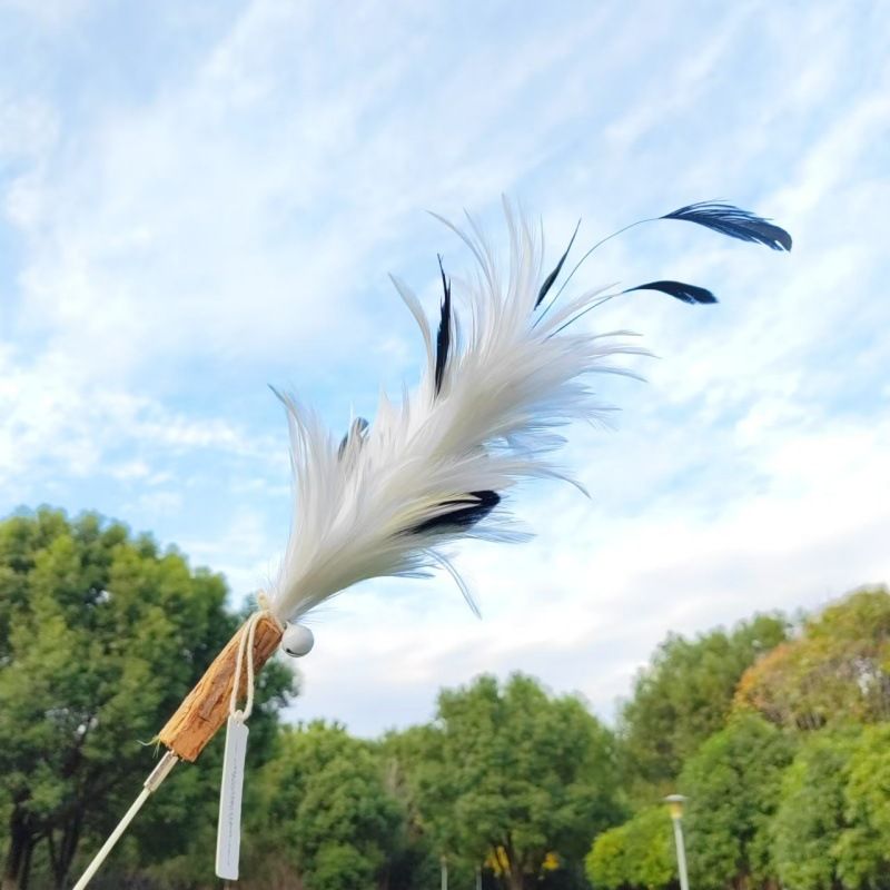 CHIYOOSU Cat Teaser Wand with Feather Bell Cocktail flower replacement head white