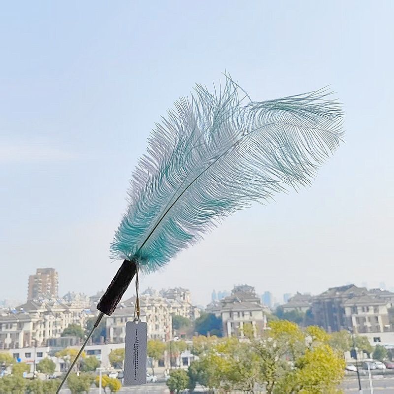 CHIYOOSU Cat Teaser Wand with Feather Bell Ostrich feather replacement head lake green + white