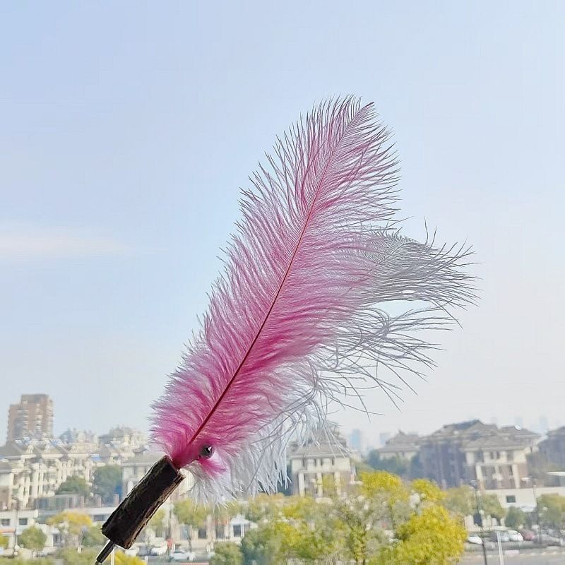 CHIYOOSU Cat Teaser Wand with Feather Bell Ostrich feather replacement head powder + white