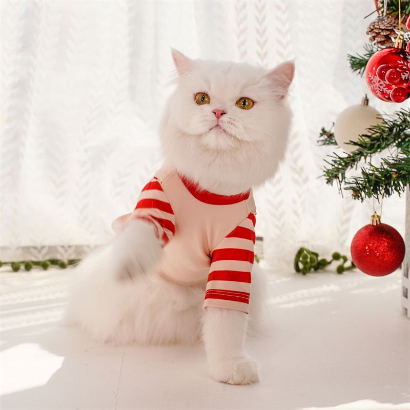 Pet Christmas Dog Clothes Polyester Green Christmas Set XXL (Chest 55cm, Recommended Weight 12-15 jin)