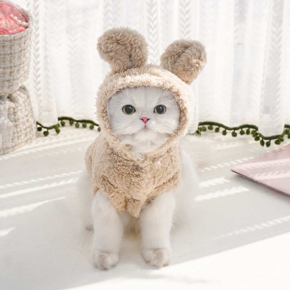 Cat Hoodie Rabbit Ear Fleece Blue Gray Bunny Ear Fleece Hoodie 3XL (Chest 64cm, Back Length 45cm)
