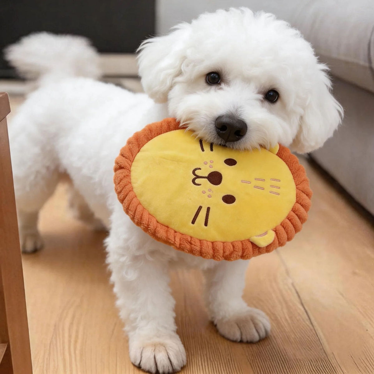 AMOOR Dog Toy Plush Squeaky Frisbee Puppy Training Pizza [23*23*4] 107g