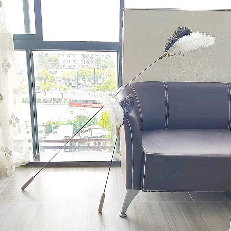 CHIYOOSU Cat Teaser Wand with Feather Bell Ostrich feather duster with extendable handle - 3 section telescopic, black & white