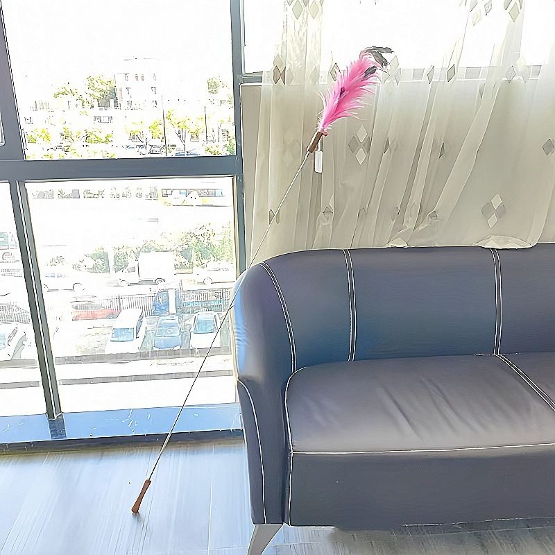 CHIYOOSU Cat Teaser Wand with Feather Bell Cocktail flower extension rod rose red (not retractable)