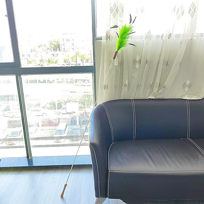 CHIYOOSU Cat Teaser Wand with Feather Bell Cocktail flower extension green (not retractable)