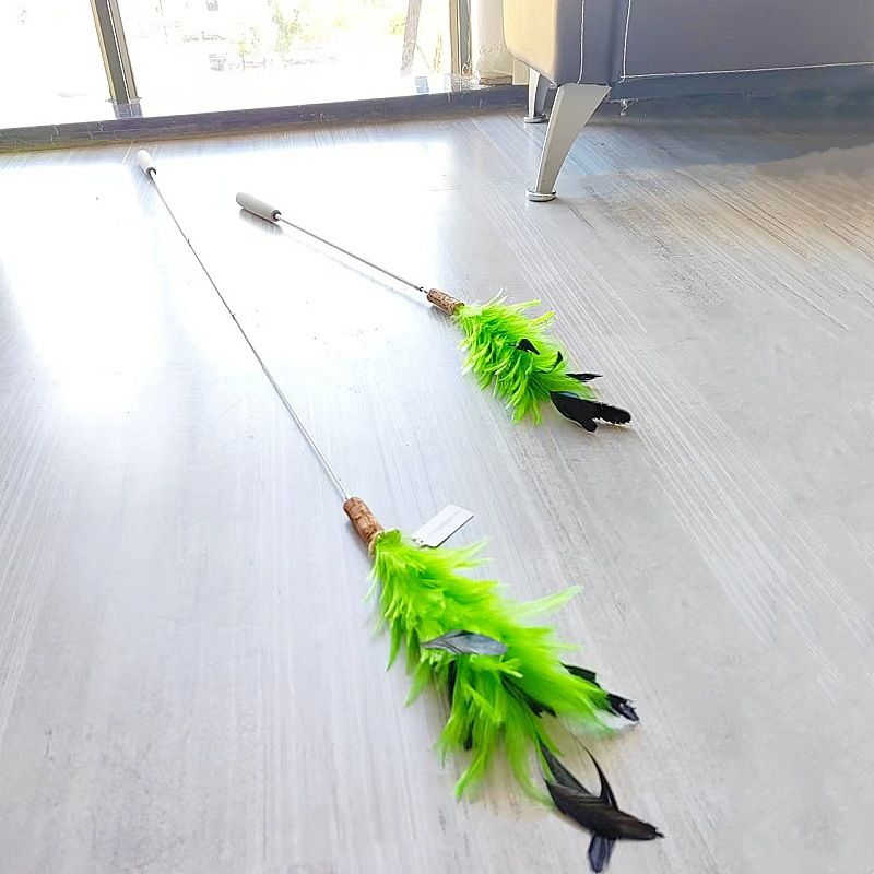 CHIYOOSU Cat Teaser Wand with Feather Bell Chicken tail flower extended pole three sections telescopic green