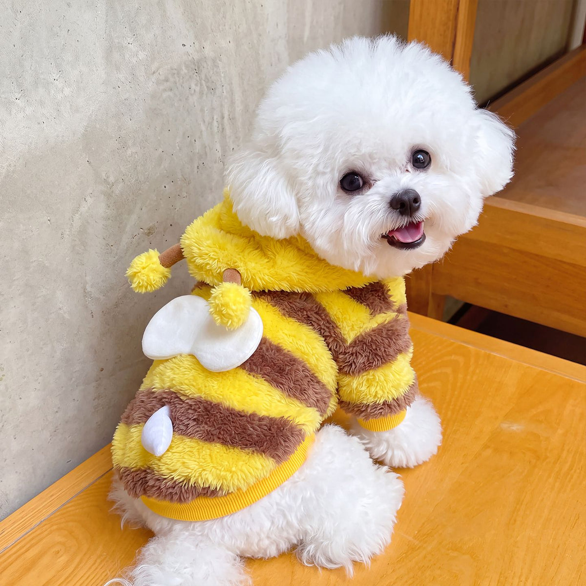 AMOOR Dog Bee Costume Hoodie Wings Wing Bee Four-Legged Dress XXL
