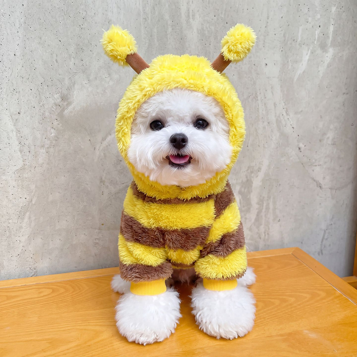 AMOOR Dog Bee Costume Hoodie Wings Wing Bee Four-Legged Dress XXL