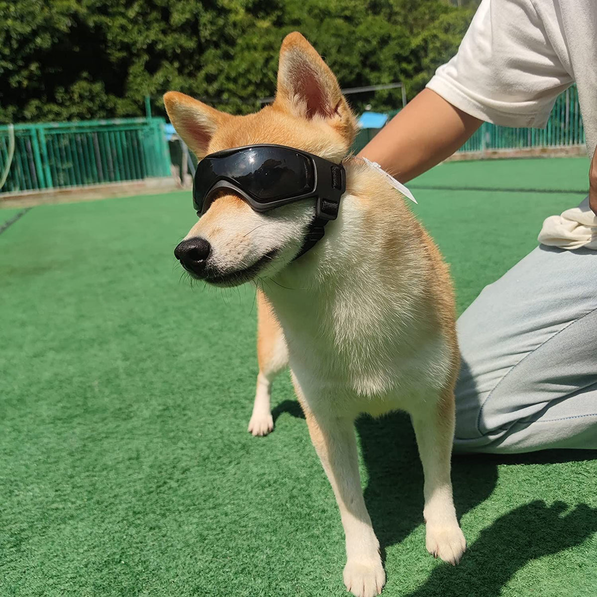 Pet Sunglasses with UV Protection Soft TPU Frame Adjustable Headband Dog Goggles Cat Sunglasses for Outdoor Travel Car Rides Eye Protection (M, Red)