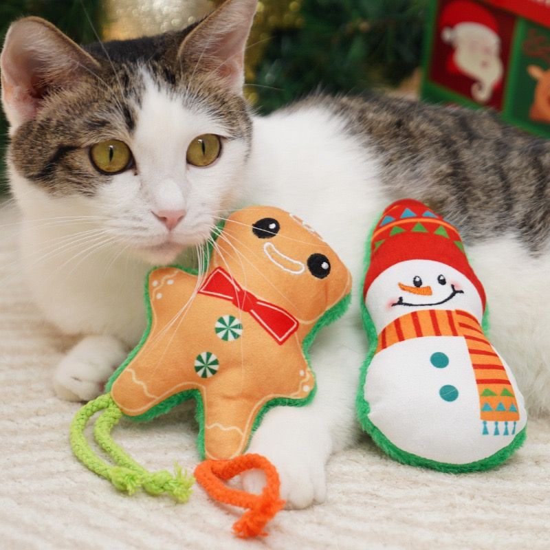 Christmas Plush Catnip Toys with Interactive Teaser Wands – Santa, Snowman, Gingerbread, Bell, and Tree Designs for Kittens and Indoor Cats’ Holiday Fun, Exercise, and Dental Care (Gingerbread Snowman)