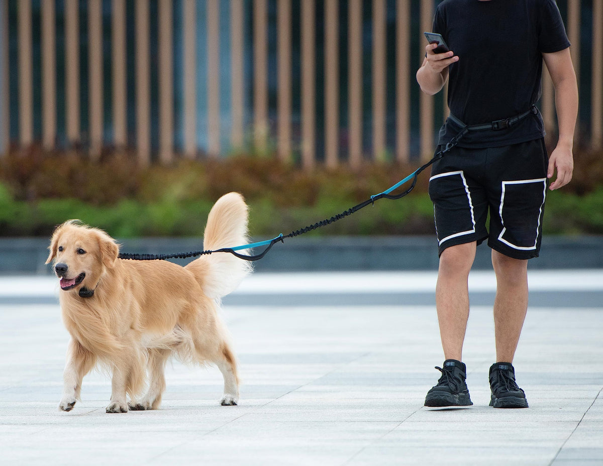 Hands-Free Dog Walking Belt with Bungee Leash and Reflective Waist Pouch Set for Running Jogging and Outdoor Adventures with Dogs (Khaki)