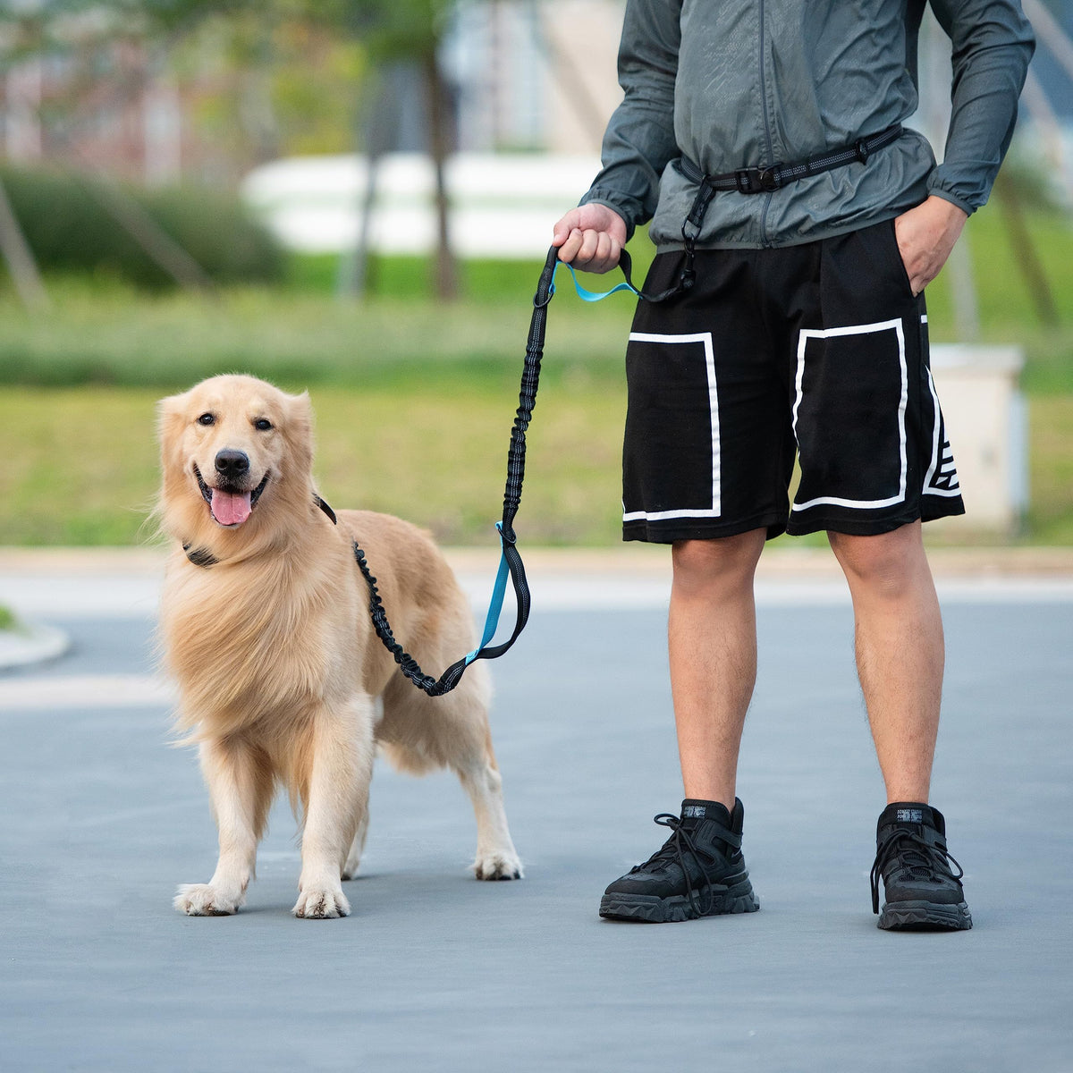Hands-Free Dog Walking Belt with Bungee Leash and Reflective Waist Pouch Set for Running Jogging and Outdoor Adventures with Dogs (Orange)