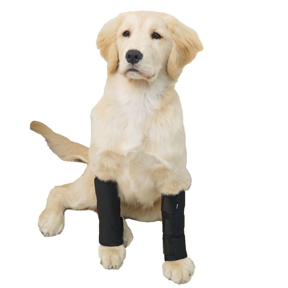 1 pair Dog Canine Front Leg Brace Paw Compression Wraps with Protects Wounds Brace Heals and Prevents Injuries and Sprains Helps with Loss of Stability Caused by Arthritis (M)